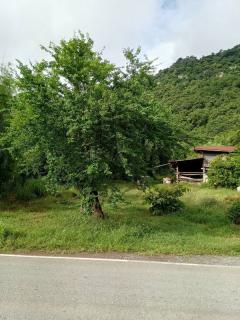 ขายด่วน! ที่ดินเปล่า ทำเลดี ใกล้เมืองนครสวรรค์ เนื้อที่ 160 ตร.ว. โทร 092-6869618-202512291428161766993296207.jpg