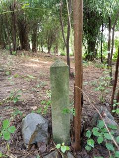 ขายด่วน! ที่ดินเปล่า ทำเลดี ใกล้เมืองนครสวรรค์ เนื้อที่ 160 ตร.ว. โทร 092-6869618-202512291428171766993297259.jpg