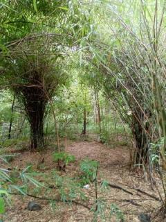 ขายด่วน! ที่ดินเปล่า ทำเลดี ใกล้เมืองนครสวรรค์ เนื้อที่ 160 ตร.ว. โทร 092-6869618-202512291428181766993298510.jpg