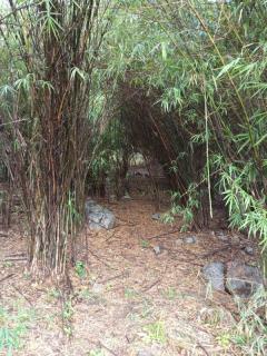 ขายด่วน! ที่ดินเปล่า ทำเลดี ใกล้เมืองนครสวรรค์ เนื้อที่ 160 ตร.ว. โทร 092-6869618-202512291428191766993299043.jpg