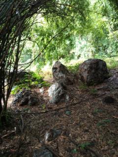 ขายด่วน! ที่ดินเปล่า ทำเลดี ใกล้เมืองนครสวรรค์ เนื้อที่ 160 ตร.ว. โทร 092-6869618-202512291428201766993300168.jpg